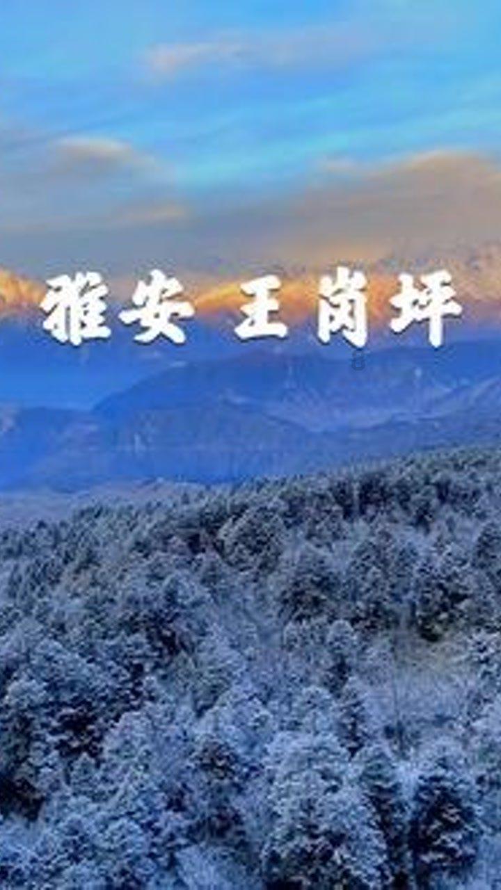 正确的月经周期计算器红迪网平台 - 汇聚各类正确的月经周期计算器话题讨论